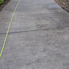Top-Quality-Driveway-Cleaning-near-Chapel-Hill-NC 0